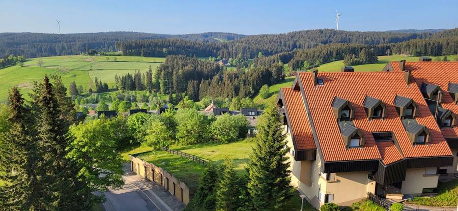 Schwarzwaldblick Schwarzwaldblick